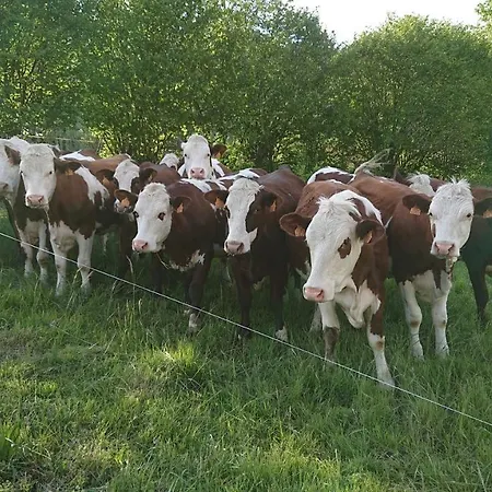 A La Campagne Au Bout Du D'annecy